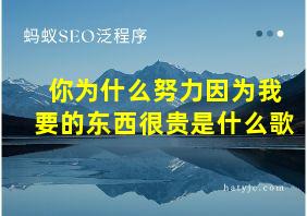 你为什么努力因为我要的东西很贵是什么歌