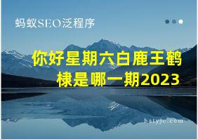 你好星期六白鹿王鹤棣是哪一期2023