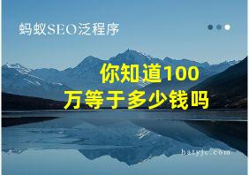 你知道100万等于多少钱吗