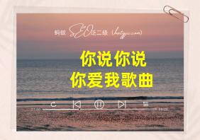 你说你说你爱我歌曲