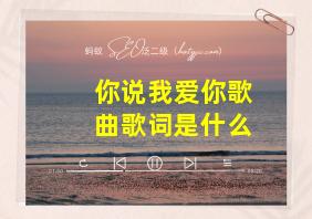 你说我爱你歌曲歌词是什么