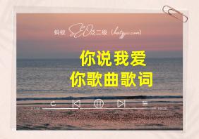 你说我爱你歌曲歌词