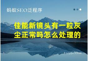 佳能新镜头有一粒灰尘正常吗怎么处理的