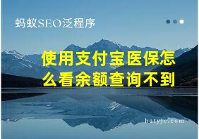 使用支付宝医保怎么看余额查询不到