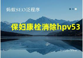 保妇康栓消除hpv53