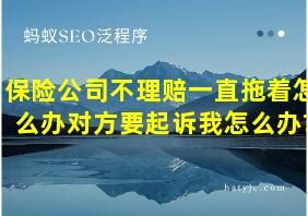 保险公司不理赔一直拖着怎么办对方要起诉我怎么办?