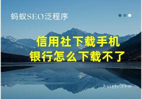 信用社下载手机银行怎么下载不了