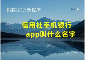 信用社手机银行app叫什么名字