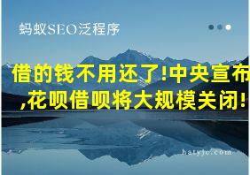 借的钱不用还了!中央宣布,花呗借呗将大规模关闭!