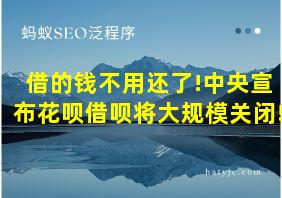 借的钱不用还了!中央宣布花呗借呗将大规模关闭!