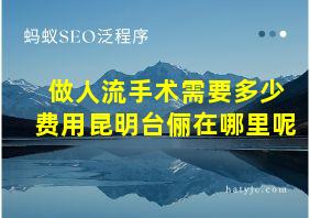 做人流手术需要多少费用昆明台俪在哪里呢