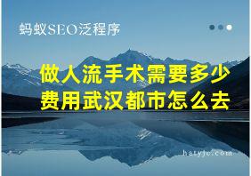 做人流手术需要多少费用武汉都市怎么去