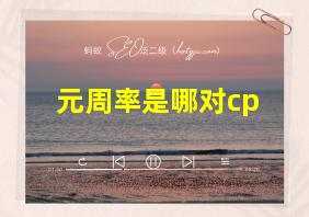 元周率是哪对cp