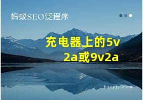 充电器上的5v2a或9v2a