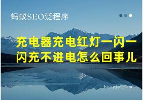 充电器充电红灯一闪一闪充不进电怎么回事儿