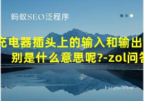 充电器插头上的输入和输出分别是什么意思呢?-zol问答