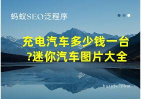 充电汽车多少钱一台?迷你汽车图片大全