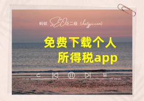 免费下载个人所得税app