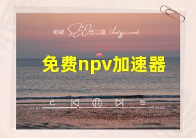 免费npv加速器