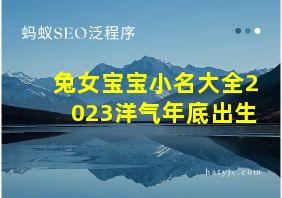 兔女宝宝小名大全2023洋气年底出生