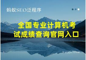 全国专业计算机考试成绩查询官网入口