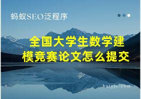 全国大学生数学建模竞赛论文怎么提交