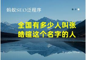 全国有多少人叫张皓暄这个名字的人