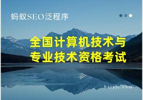 全国计算机技术与专业技术资格考试