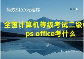 全国计算机等级考试二级wps office考什么