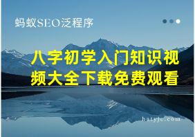 八字初学入门知识视频大全下载免费观看