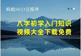 八字初学入门知识视频大全下载免费