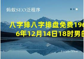 八字排八字排盘免费1966年12月14日18时男的