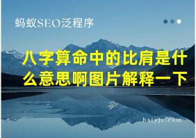 八字算命中的比肩是什么意思啊图片解释一下