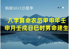 八字算命农历甲申年壬申月壬戍日巳时男命建生