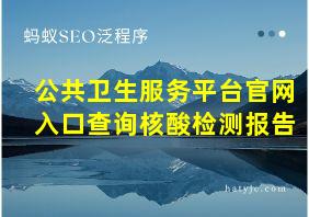 公共卫生服务平台官网入口查询核酸检测报告