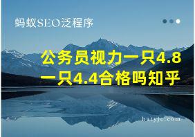 公务员视力一只4.8一只4.4合格吗知乎