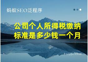 公司个人所得税缴纳标准是多少钱一个月