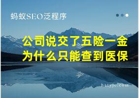 公司说交了五险一金为什么只能查到医保