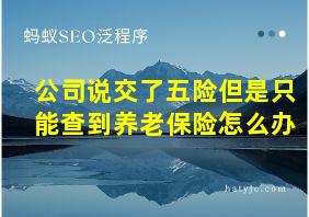 公司说交了五险但是只能查到养老保险怎么办