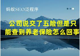 公司说交了五险但是只能查到养老保险怎么回事