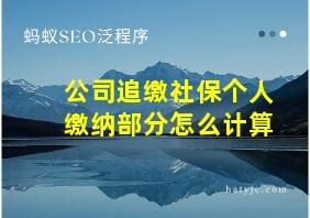 公司追缴社保个人缴纳部分怎么计算