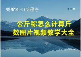 公斤称怎么计算斤数图片视频教学大全