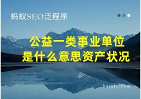 公益一类事业单位是什么意思资产状况