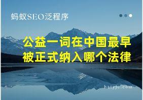 公益一词在中国最早被正式纳入哪个法律