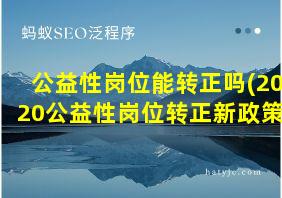 公益性岗位能转正吗(2020公益性岗位转正新政策)