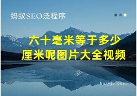 六十毫米等于多少厘米呢图片大全视频