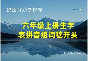 六年级上册生字表拼音组词毯开头