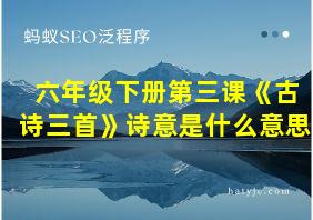 六年级下册第三课《古诗三首》诗意是什么意思