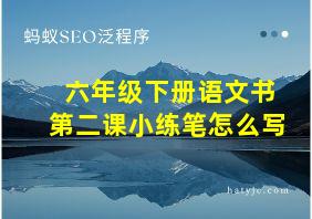 六年级下册语文书第二课小练笔怎么写