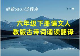 六年级下册语文人教版古诗词诵读翻译